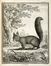  Buffon Georges Louis : Histoire naturelle générale et particuliere...  - Asta Grafica & Libri - Libreria Antiquaria Gonnelli - Casa d'Aste - Gonnelli Casa d'Aste