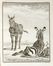  Buffon Georges Louis : Histoire naturelle générale et particuliere...  - Asta Grafica & Libri - Libreria Antiquaria Gonnelli - Casa d'Aste - Gonnelli Casa d'Aste