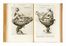  Liceti Fortunio : De lucernis antiquorum reconditis...  - Asta Grafica & Libri - Libreria Antiquaria Gonnelli - Casa d'Aste - Gonnelli Casa d'Aste