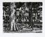  Tono Zancanaro  (Padova, 1906 - 1985) : Cinque vedute padovane. In Prà, Portico, Prà della Valle, Il portico di S. Eufemia, Santa Giustina.  - Asta Grafica & Libri - Libreria Antiquaria Gonnelli - Casa d'Aste - Gonnelli Casa d'Aste