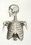  Caldani Leopoldo Marco Antonio : Icones anatomicae quotquot sunt celebriores ex optimis neotericorum operibus summa diligentia depromptae et collectae... (-Volumins tertii sectio altera).  Floriano Caldani  (Bologna, 1772 - Padova, 1836)  - Asta Grafica & Libri - Libreria Antiquaria Gonnelli - Casa d'Aste - Gonnelli Casa d'Aste