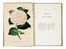 Verschaffelt Alexandre : Nouvelle Iconographie des Camellias contenant les figures et la description des plus rares, des plus nouvelles et des plus belles variétés de ce genre...  - Asta Grafica & Libri - Libreria Antiquaria Gonnelli - Casa d'Aste - Gonnelli Casa d'Aste