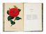  Verschaffelt Alexandre : Nouvelle Iconographie des Camellias contenant les figures et la description des plus rares, des plus nouvelles et des plus belles variétés de ce genre...  - Asta Grafica & Libri - Libreria Antiquaria Gonnelli - Casa d'Aste - Gonnelli Casa d'Aste