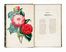  Verschaffelt Alexandre : Nouvelle Iconographie des Camellias contenant les figures et la description des plus rares, des plus nouvelles et des plus belles variétés de ce genre...  - Asta Grafica & Libri - Libreria Antiquaria Gonnelli - Casa d'Aste - Gonnelli Casa d'Aste