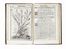  Aldini Tobia : Exactissima descriptio rariorum quarundam plantarum, quae continentur Romae in Horto Farnesiano.  Pietro Castelli, Jacopo Ligozzi  (1547 - 1626), Giuseppe Caletti (detto il Cremonese)  (attivo a Cremona e Ferrara, 1600)  - Asta Grafica & Libri - Libreria Antiquaria Gonnelli - Casa d'Aste - Gonnelli Casa d'Aste