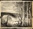  Charles François Daubigny  (Parigi, 1817 - 1878) : Le pont.  Charles Meryon  (Parigi, 1821 - Saint Maurice, 1868)  - Auction Graphics & Books - Libreria Antiquaria Gonnelli - Casa d'Aste - Gonnelli Casa d'Aste