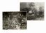 Raccolta di oltre 120 fotografie raffigurati citt� e monumenti italiani.  - Asta Grafica & Libri - Libreria Antiquaria Gonnelli - Casa d'Aste - Gonnelli Casa d'Aste