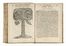  Alpino Prospero : De plantis Aegypti liber. Cum observationibus & notis Ioannis Veslingii...  - Asta Grafica & Libri - Libreria Antiquaria Gonnelli - Casa d'Aste - Gonnelli Casa d'Aste