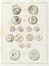  Diamilla Demetrio : Memorie numismatiche per l'anno 1847. Numismatica, Arte  - Auction Graphics & Books - Libreria Antiquaria Gonnelli - Casa d'Aste - Gonnelli Casa d'Aste
