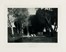 Böcklin Arnold : Eine Auswahl der hervorragendsten Werke des Künstlers in Photogravure. Arte, Figurato, Collezionismo e Bibliografia  - Auction Graphics & Books - Libreria Antiquaria Gonnelli - Casa d'Aste - Gonnelli Casa d'Aste