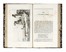  Alvino Francesco : Viaggio da Napoli a Castellammare con 42 vedute incise all'acqua forte. Geografia e viaggi, Guida illustrata, Storia locale  Achille Gigante, Gustavo Witting  - Auction Graphics & Books - Libreria Antiquaria Gonnelli - Casa d'Aste - Gonnelli Casa d'Aste