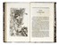  Alvino Francesco : Viaggio da Napoli a Castellammare con 42 vedute incise all'acqua forte. Geografia e viaggi, Guida illustrata, Storia locale  Achille Gigante, Gustavo Witting  - Auction Graphics & Books - Libreria Antiquaria Gonnelli - Casa d'Aste - Gonnelli Casa d'Aste