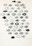  Munari Bruno : Lettera autografa firmata inviata ad un collega.  - Asta Grafica & Libri - Libreria Antiquaria Gonnelli - Casa d'Aste - Gonnelli Casa d'Aste