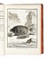  Buffon Georges Louis : Histoire naturelle générale et particuliere...  Bernard Germain Etienne (de) Lacépède, Louis Jean Marie Daubenton, Louis Legrand  (Digione, 1863 - Livry-Gargan, Seine-et-Oise, 1951), Nicolas De Launay  (Parigi, 1739 - 1792)  - Asta Libri, autografi e manoscritti - Libreria Antiquaria Gonnelli - Casa d'Aste - Gonnelli Casa d'Aste