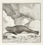 Buffon Georges Louis : Histoire naturelle générale et particuliere...  Bernard Germain Etienne (de) Lacépède, Louis Jean Marie Daubenton, Louis Legrand  (Digione, 1863 - Livry-Gargan, Seine-et-Oise, 1951), Nicolas De Launay  (Parigi, 1739 - 1792)  - Asta Libri, autografi e manoscritti - Libreria Antiquaria Gonnelli - Casa d'Aste - Gonnelli Casa d'Aste