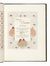  Uzanne Octave : Voyage autour de sa chambre [...] Illustrations de Henri Caruchet.  Henri Caruchet  - Auction Books, autographs & manuscripts - Libreria Antiquaria Gonnelli - Casa d'Aste - Gonnelli Casa d'Aste