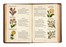 Raccolta di 13 opere illustrate di zoologia e botanica, molte delle quali dedicate alla flora alpina  Henri Louis Duhamel du Monceau, Grandville J.J. [pseud. di Gérard Jean Ignace Isidore]  (Nancy, 1803 - Vanves, 1847), Max (von) Schulze  - Asta Libri, autografi e manoscritti - Libreria Antiquaria Gonnelli - Casa d'Aste - Gonnelli Casa d'Aste