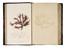  Johnstone William Grosart, Croall Alexander : The nature printed British sea-weeds: a history, accompanied by figures and dissections, of the Algae of British isles...  - Asta Libri, autografi e manoscritti - Libreria Antiquaria Gonnelli - Casa d'Aste - Gonnelli Casa d'Aste