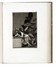  Goya y Lucientes Francisco : Los Caprichos.  - Asta Libri, autografi e manoscritti - Libreria Antiquaria Gonnelli - Casa d'Aste - Gonnelli Casa d'Aste