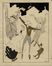  Mario Vellani Marchi  (Modena, 1895 - Milano, 1979) : Lotto composto di 72 disegni.  - Asta Stampe, disegni e dipinti antichi, moderni e contemporanei - Libreria Antiquaria Gonnelli - Casa d'Aste - Gonnelli Casa d'Aste