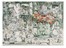  Antonio Possenti  (Lucca, 1933 - 2016) : Lotto composto di 5 incisioni, di cui 2 colorate a pastello.  - Auction Prints, drawings & paintings | Old master, modern and contemporary art - Libreria Antiquaria Gonnelli - Casa d'Aste - Gonnelli Casa d'Aste