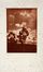  Luigi Bonazza  (Arco, 1877 - Trento, 1965) : Aeroplani Caproni.  Pietro D'Achiardi  (Pisa, 1879 - Roma, 1940), Gabriele D'Annunzio  (1863 - 1938)  - Asta Stampe, disegni e dipinti antichi, moderni e contemporanei - Libreria Antiquaria Gonnelli - Casa d'Aste - Gonnelli Casa d'Aste