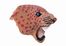  David Mach  (Methil, 1956) : Tiger Head.  - Asta Stampe, disegni e dipinti antichi, moderni e contemporanei - Libreria Antiquaria Gonnelli - Casa d'Aste - Gonnelli Casa d'Aste