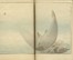  Watanabe Seitei (o Shotei)  (Edo, 1851 - 1918) : Seitei kacho gafu (Manuale di uccelli e fiori di Seitei).  - Asta Stampe, disegni e dipinti antichi, moderni e contemporanei - Libreria Antiquaria Gonnelli - Casa d'Aste - Gonnelli Casa d'Aste