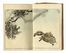  Watanabe Seitei (o Shotei)  (Edo,, 1851 - 1918) : Seitei kacho gafu (Manuale di uccelli e fiori di Seitei).  - Asta Stampe, disegni e dipinti antichi, moderni e contemporanei - Libreria Antiquaria Gonnelli - Casa d'Aste - Gonnelli Casa d'Aste