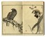  Kono Bairei  (Kyoto,, 1844 - 1895) : Bairei hyakucho gafu (Album dei cento uccelli e fiori di Bairei).  - Asta Stampe, disegni e dipinti antichi, moderni e contemporanei - Libreria Antiquaria Gonnelli - Casa d'Aste - Gonnelli Casa d'Aste