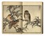  Kono Bairei  (Kyoto,, 1844 - 1895) : Bairei hyakucho gafu (Album dei cento uccelli e fiori di Bairei).  - Asta Stampe, disegni e dipinti antichi, moderni e contemporanei - Libreria Antiquaria Gonnelli - Casa d'Aste - Gonnelli Casa d'Aste