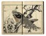  Kono Bairei  (Kyoto,, 1844 - 1895) : Bairei hyakucho gafu (Album dei cento uccelli e fiori di Bairei).  - Auction Prints, drawings & paintings | Old master, modern and contemporary art - Libreria Antiquaria Gonnelli - Casa d'Aste - Gonnelli Casa d'Aste