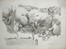  Giovanni Battista Vanni  (Firenze,  - Pistoia, 1660) : Gli affreschi del Correggio nella cupola del Duomo di Parma.  - Asta Stampe, disegni e dipinti antichi, moderni e contemporanei [ASTA A TEMPO] - Libreria Antiquaria Gonnelli - Casa d'Aste - Gonnelli Casa d'Aste
