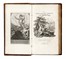  Tasso Torquato [e altri] : Lotto di 4 opere di letteratura. Letteratura italiana, Poesia, Letteratura, Letteratura  Giuseppe Adorni, Vincenzo Monti  (1754 - 1828), Lorenzo Lippi  - Auction Books, autographs & manuscripts - Libreria Antiquaria Gonnelli - Casa d'Aste - Gonnelli Casa d'Aste