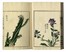  Kono Bairei  (Kyoto,, 1844 - 1895) : Bairei hyakucho gafu (Album dei cento uccelli e fiori di Bairei).  - Asta Arte antica, moderna e contemporanea - Libreria Antiquaria Gonnelli - Casa d'Aste - Gonnelli Casa d'Aste