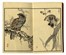  Kono Bairei  (Kyoto,, 1844 - 1895) : Bairei hyakucho gafu (Album dei cento uccelli e fiori di Bairei).  - Auction Ancient, modern and contemporary art - Libreria Antiquaria Gonnelli - Casa d'Aste - Gonnelli Casa d'Aste