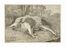  Autori vari : Lotto di ventitre tavole raffiguranti animali.  - Auction Ancient, modern and contemporary art - Libreria Antiquaria Gonnelli - Casa d'Aste - Gonnelli Casa d'Aste