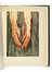  Alighieri Dante : La Divina Commedia. Illustrazioni di Dal.  Salvador Dal  (Figueres, 1904 - 1989)  - Asta Libri, autografi e manoscritti - Libreria Antiquaria Gonnelli - Casa d'Aste - Gonnelli Casa d'Aste