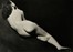  Brassa [pseud. di Dodgson Charles Lutwidge] [e altri] : Etudes de Nus. 24 photographies...  [..]