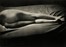  Brassa [pseud. di Dodgson Charles Lutwidge] [e altri] : Etudes de Nus. 24 photographies...  [..]