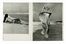  Dienes Andr (de) [e altri] : 7 numeri della rivista Nus. [Album 1-7].  Nora Dumas,  [..]