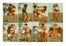  Jacques Serge [e altri] : 11 numeri della rivista Les beauts de Paris et de Hollywood.  [..]
