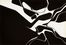 Derriere Le Miroir.  Pablo Palazuelo, Georges Braque  (Argenteuil, 1882 - Parigi, 1963), Joan Miró  (Montroig, 1893 - Palma di Majorca, 1983)  - Asta Libri, autografi e manoscritti - Libreria Antiquaria Gonnelli - Casa d'Aste - Gonnelli Casa d'Aste
