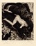  Anselmo Bucci  (Fossombrone, 1887 - Monza, 1955) : Il libro della Giungla. Lotto composto di 8 incisioni.  - Auction Ancient, modern and contemporary art - Libreria Antiquaria Gonnelli - Casa d'Aste - Gonnelli Casa d'Aste