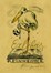  Michel Fingesten  (Buczkowitz, 1883 - Cerisano, 1943) : Lotto composto da 4 ex libris.  - Asta Arte Antica, Moderna e Contemporanea - PARTE II - Libreria Antiquaria Gonnelli - Casa d'Aste - Gonnelli Casa d'Aste