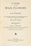  Lounsberry Alice : A guide to the wild flowers.  Ellis Rowan  - Asta Libri a stampa dal XVI al XX secolo [ASTA A TEMPO - PARTE II] - Libreria Antiquaria Gonnelli - Casa d'Aste - Gonnelli Casa d'Aste