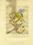  Raoul Dal Molin Ferenzona  (Firenze, 1879 - Milano, 1946) : Lotto composto di 2 incisioni acquerellate.  - Asta Arte Moderna e Contemporanea [ASTA A TEMPO - PARTE II] - Libreria Antiquaria Gonnelli - Casa d'Aste - Gonnelli Casa d'Aste