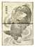  Katsushika Hokusai  (Edo, 1760 - 1849) [da] : Cinque tavole da (Katsushika Iitsu iboku) Hokusai manga shohen-jgohen.  - Auction Ancient Art, Orientalia and Maps [TIMED AUCTION - FIRST PART] - Libreria Antiquaria Gonnelli - Casa d'Aste - Gonnelli Casa d'Aste