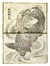  Katsushika Hokusai  (Edo, 1760 - 1849) [da] : Cinque tavole da (Katsushika Iitsu iboku) Hokusai manga shohen-jûgohen.  - Asta Arte antica, Orientalia e Cartografia [ASTA A TEMPO - PARTE I] - Libreria Antiquaria Gonnelli - Casa d'Aste - Gonnelli Casa d'Aste