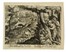  Jan Van der Straet (detto Stradano)  (Bruges, 1523 - Firenze, 1605) [da] : Cinque tavole da Venationes Ferarum, Avium, Piscium. Pugnae Bestiariorum: & mutuae Bestiarum,...  - Auction Ancient Art, Orientalia and Maps [TIMED AUCTION - FIRST PART] - Libreria Antiquaria Gonnelli - Casa d'Aste - Gonnelli Casa d'Aste